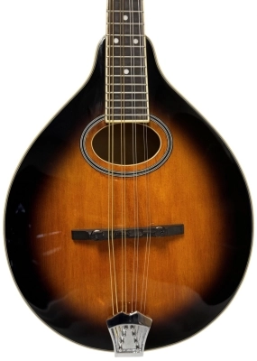 Gold Tone Solid Top A-Style Mandolin 2